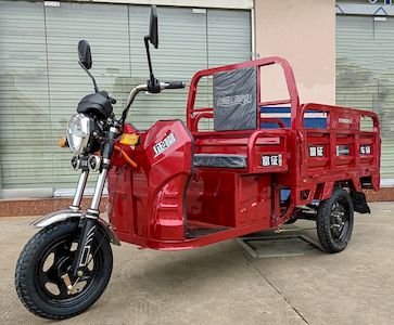 Fuzheng  FZ1000DZH3 Electric tricycle