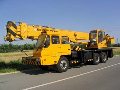 Dongyue  TA5282JQZQY25B Car crane