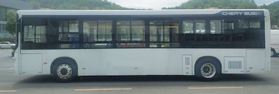 Wanda  WD6105BEVG04 Pure electric city buses