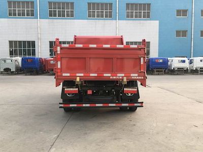 Shifeng  SSF3042DDP536 Dump truck