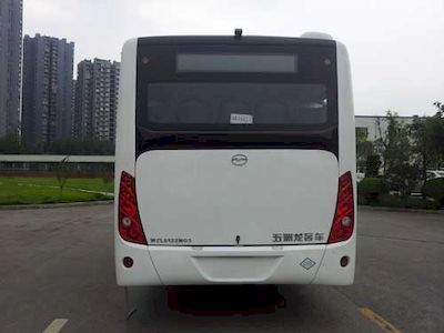 Wuzhoulong  WZL6122NG5 City buses