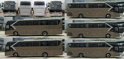 Jinlong  XMQ6127AYD5A coach