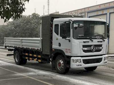 Dongfeng  DFA1180DBEV1 Pure electric freight vehicles