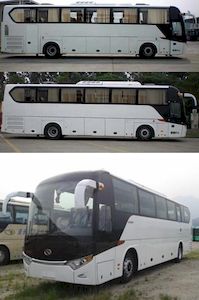 Jinlong  XMQ6115AYN5S coach