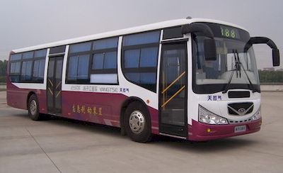 Yangtze River brand automobiles WG6121NQ0E City buses