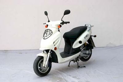 Wuyang  WY50QT6 moped with two wheels 