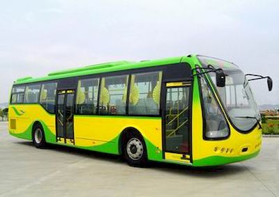 Wuzhoulong FDG6120BGC3City buses