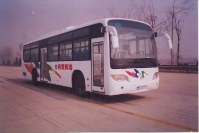 Huanghai  DD6113K09 coach