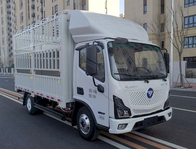 Foton BJ5045CCYEV5Pure electric grille transport vehicle