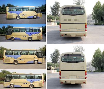 Northern  BFC6900L1D6 Luxury tourist buses