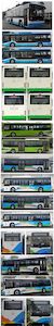 Chinese license plate cars TEG6105BEV22 Pure electric city buses