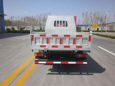 Shifeng  SSF3041DDW322 Dump truck