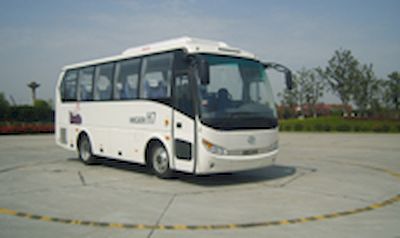 Hagrid KLQ6858E4 coach