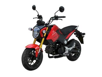 Dayang  DY11029 Two wheeled motorcycles