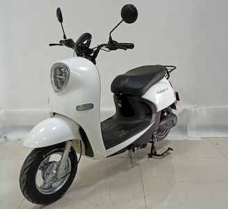 Green  GL600DQT18 Electric two wheeled light motorcycle