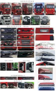 Shaanxi Automobile SX1319MC456F2 Truck