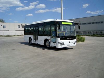 Foton  BJ6901C6MHB1 City buses