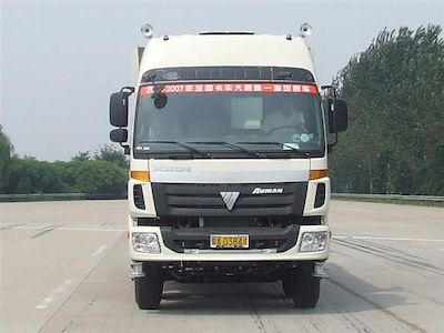 Ouman  BJ1317VPPKJ1 Truck