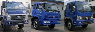 Foton  BJ3163DJPFG2 Dump truck