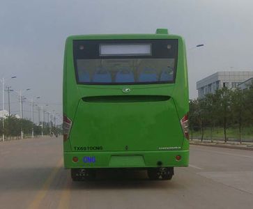 Tongxin  TX6910CNG City buses