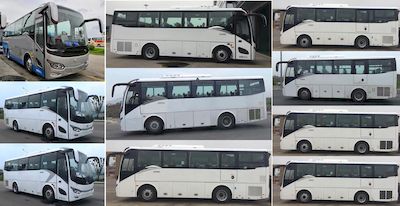 Jinlong  XMQ6871CYD5C coach