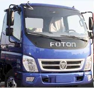 Foton  BJ3043D9PBAFB Dump truck