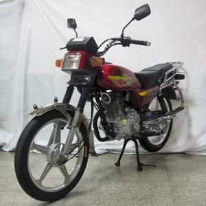 Feiken FK150GTwo wheeled motorcycles