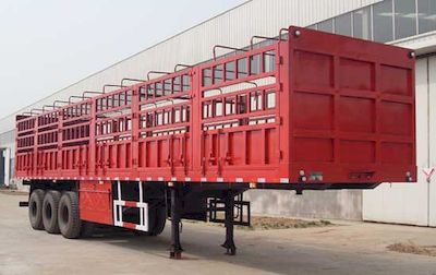 Xulong  XS9404CCY Gantry transport semi-trailer