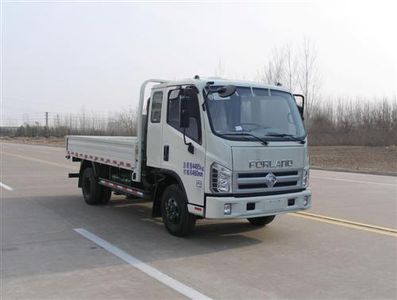 Foton  BJ1043V9PEAL3 Truck