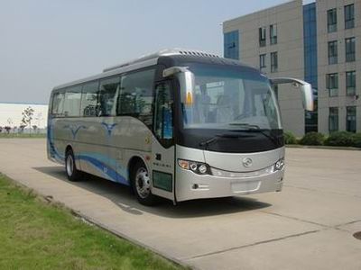 Huanghai  DD6907C07 coach