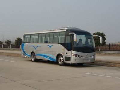 Huanghai  DD6907C07 coach