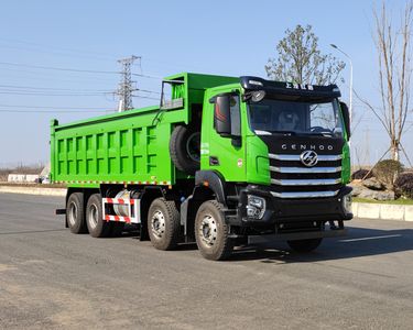 Hongyan  CQ3317EV11336 Dump truck