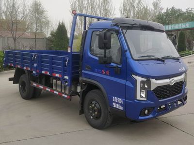 Shifeng  SSF3096DHJ44F3 Dump truck