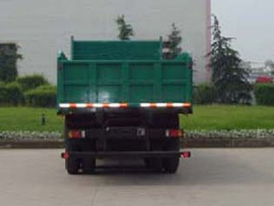 Hongyan  CQ3253TPG494 Dump truck