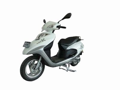 Qianjiang  QJ110T8 Two wheeled motorcycles