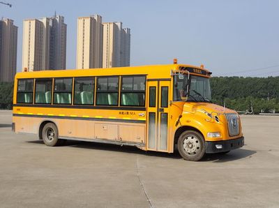 Dongfeng  DFH6920B1 School buses exclusively for primary school students