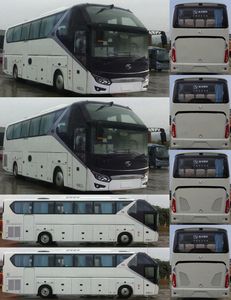 Jinlong  XMQ6125AYD5D coach