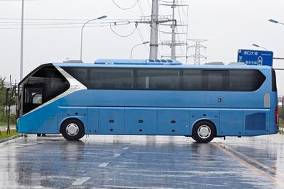 Jinlong  XMQ6125AYD5D coach