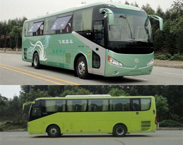 Feichi  FSQ6106DN coach