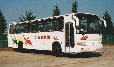 Huanghai  DD6112K08 coach