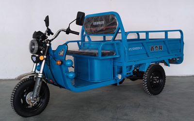 Xintailong brand automobiles XTL1200DZH2 Electric tricycle