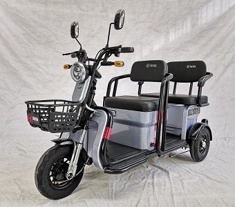 Baodao  BD1200DZK5 Electric tricycle