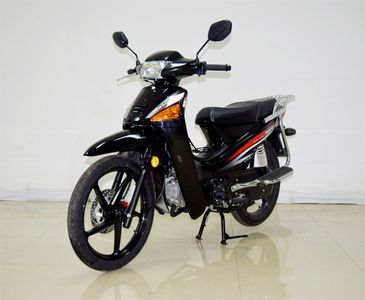 Jianlong brand automobiles JL1102B Two wheeled motorcycles