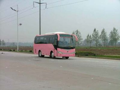 Feiyan  SDL6780ZCFH coach