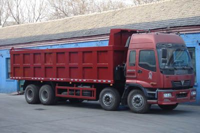 Qingte  SQT3319AQ80 Dump truck