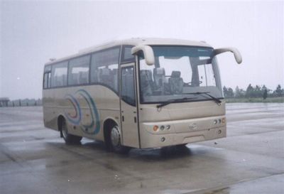 Dongou  ZQK6910D1 coach