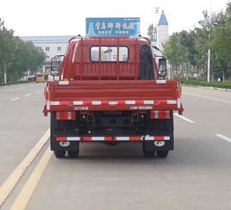 Foton  BJ3043D9JBAFB Dump truck