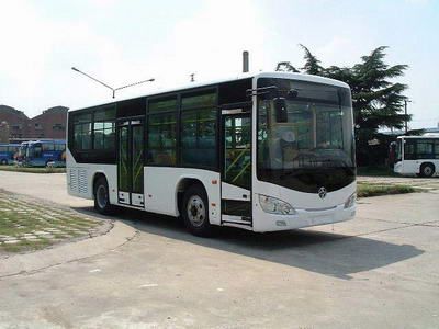 Yaxing  YBL6900GH City buses