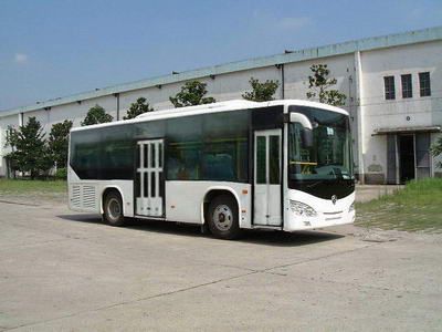 Yaxing  YBL6900GH City buses