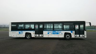 Changjiang brand automobile FDE6120PDABEV03 Pure electric city buses